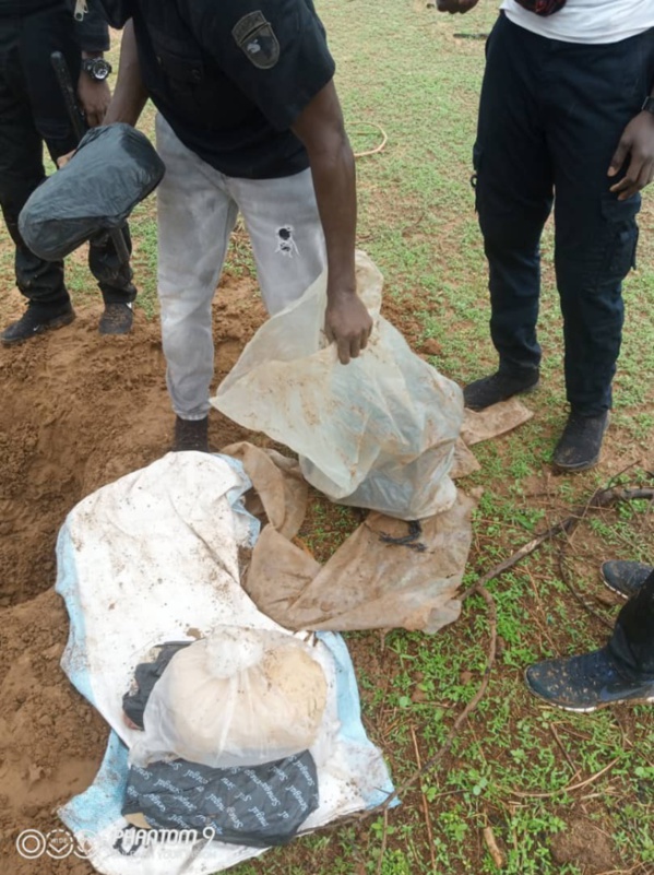 TOUBA / 11 kilos de chanvre indien saisis par les éléments de la DOCRTIS de Diourbel.