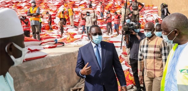 Le riz sous Macky Sall : De l’autosuffisance à la diversification des importations