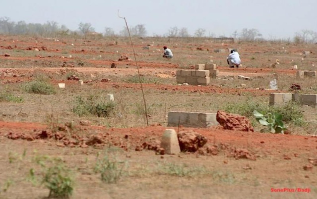 BRADAGE DE TERRAINS: L’ÉQUATION DU FONCIER AU SÉNÉGAL