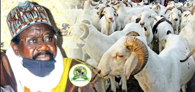 Imam Cheikh Aliou Cissé a offert plus de 580 moutons pour la Tabaski