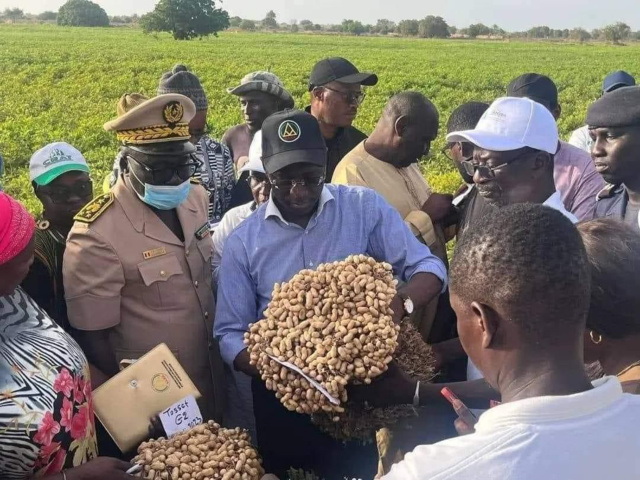 AGRICULTURE | MABOUBA DIAGNE ANNONCE LE LANCEMENT D’UN PORTAIL NUMÉRIQUE DE RECENSEMENT DES PROJETS