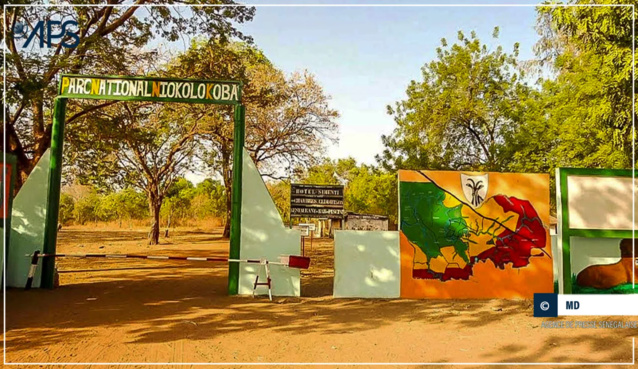 L’UNESCO retire le parc de Niokolo-Kaba de la liste du patrimoine mondial en péril