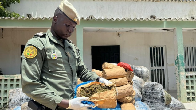 Lutte contre le trafic de drogues-   845 kg de chanvre indien saisis au large de Djifère