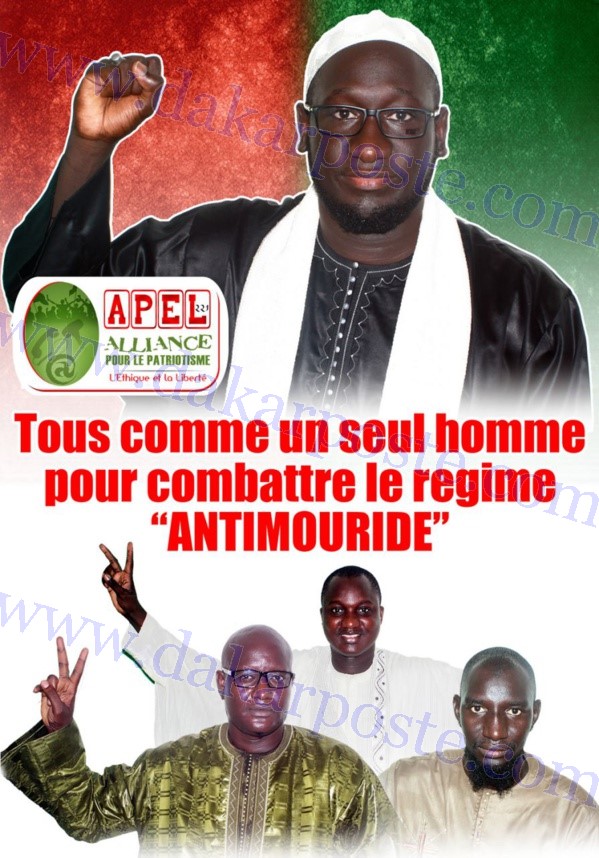 Révélations sur les solides soutiens à Serigne Assane Mbacké pour combattre le pouvoir