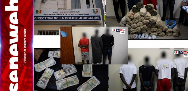 Descente policière à Yoff et aux Maristes : La DIC arrête 7 trafiquants avec 454 millions F CFA en faux billets et 50 kg de "yamba"