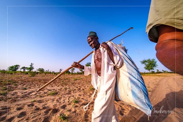 Audience accordée à Babacar Ngom- Le coup de gueule de Toure Mandemory