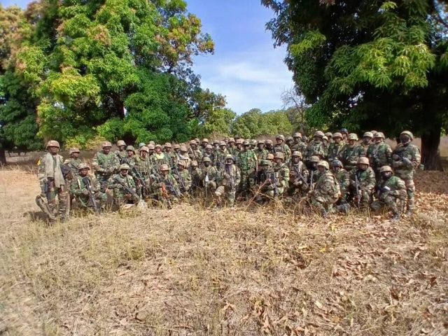 Kolda : l’Armée détruit plusieurs hectares de champs de chanvre indien