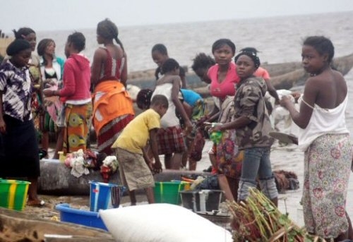 Sans eau potable, malades et enclavées                  Des populations du Boundou boivent l'eau du fleuve avec des ...animaux