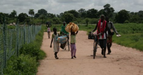 Plus de 14 000 personnes réfugiées en Gambie et Guinée Bissau