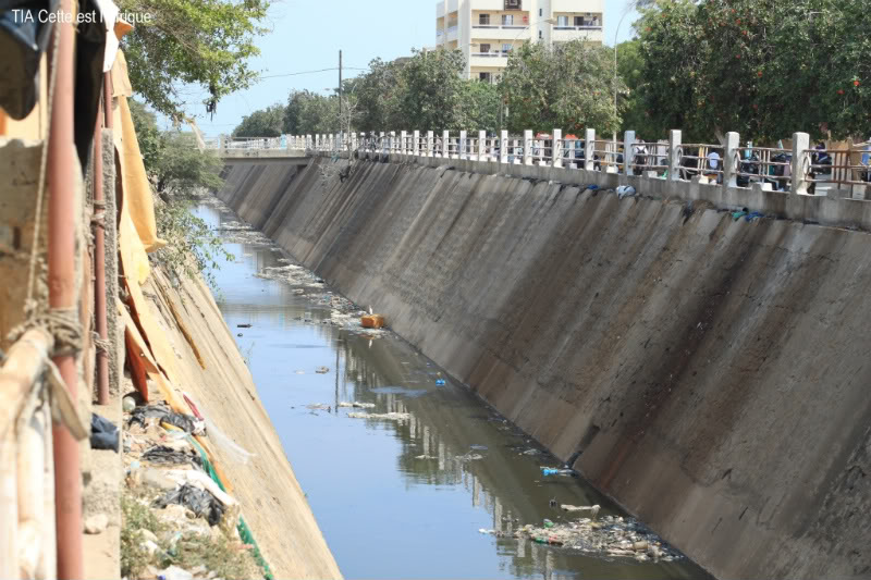 Dakar: Le canal IV, une usine de production de moustiques et de puanteur