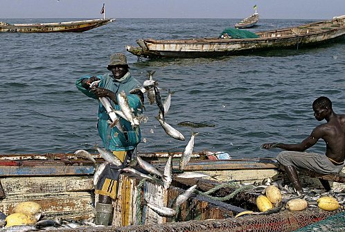 Surpêche : Le Sénégal va saisir l’Omc en décembre