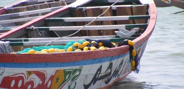 De retour d'un concert, trois jeunes portés disparus dans le fleuve Sénégal