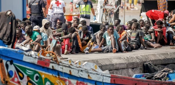 «Pape Ndiaye de Walf a tout faux d’accuser des opposants...sur l’émigration clandestine», Par Ousseynou Wade