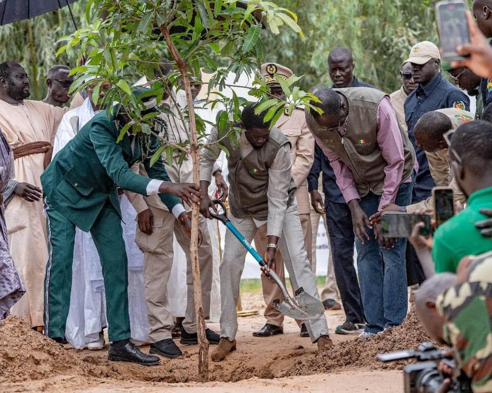 Le point sur le séjour du Président de la République du Sénégal, Bassirou Diomaye Faye, à Touba