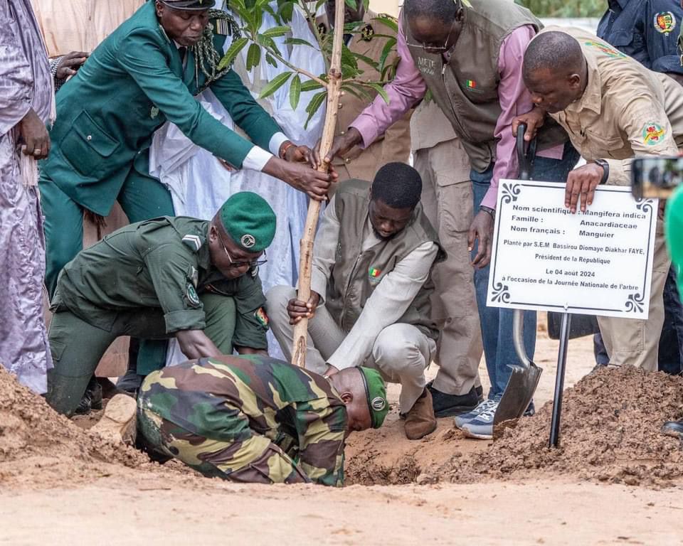 Le point sur le séjour du Président de la République du Sénégal, Bassirou Diomaye Faye, à Touba