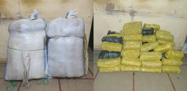 Trafic de drogue : L'OCRTIS neutralise une mafia sénégalo-gambienne, avec la saisie de 1 156 pilules d'ecstasy et 132 kg de yamba