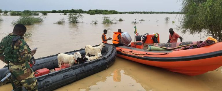 CRUE DU FLEUVE | L’ARMÉE SÉNÉGALAISE DÉPLOIE DES HÔPITAUX MOBILES POUR SOUTENIR LES POPULATIONS INONDÉES