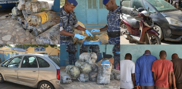 Thiaroye : 4 dealers arrêtés par la gendarmerie avec 480 kg de drogue