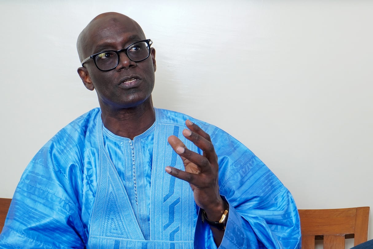 Thierno Alassane Sall : " PASTEF prône une justice à deux vitesses."