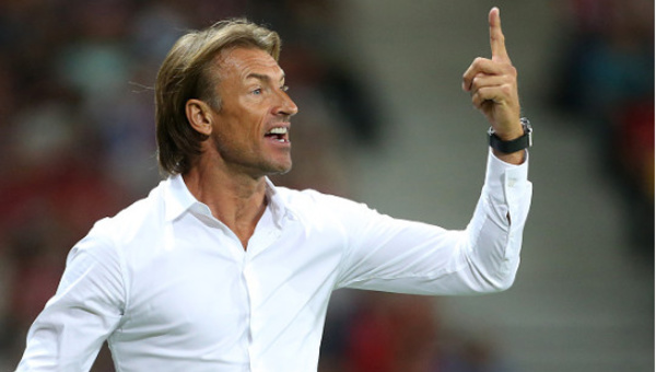 Hervé Renard : « Quand je vois le Sénégal jouer, j’ai des maux de tête »