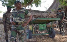  Trois officiers des Eaux et Forêts du Sénégal arrêtés par la police Gambienne (EXCLUSIVITÉ DAKARPOSTE)