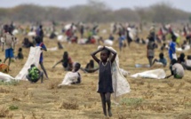 Insécurité Alimentaire Au Nord Du Sénégal : Le Fouta Menacé De Famine