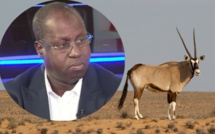 AFFAIRE DES GAZELLES ORYX: Le Pds annonce une plainte devant le Procureur