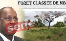 Forêt classée de Mbao : Abdou Karim Sall attribue 15 Ha à 4 «gros bonnets»