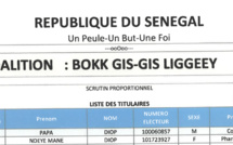 Législatives au Sénégal- Voici les détails de la liste Bok Guis Guis de Pape Diop!