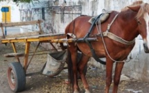 Meurtre à Guinaw-Rails : Un soudeur tué par un charretier