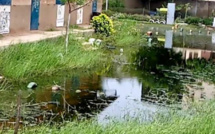 Inondations à Keur Massar : les parents d’élèves obligés de transférer leurs enfants dans d’autres établissements