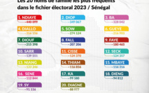 Présidentielle : Ndiaye, Ba, Diallo… Les 20 noms de famille les plus répandus dans le fichier électoral