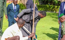 LE PRÉSIDENT DIOMAYE FAYE PLANTE UN ARBRE EN SYMBOLE D’ESPOIR