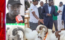 Entretien Exclusif avec le vendeur du mouton de Diomaye...: des confidences croustillantes...