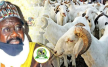 Imam Cheikh Aliou Cissé a offert plus de 580 moutons pour la Tabaski