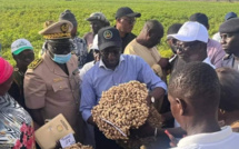 AGRICULTURE | MABOUBA DIAGNE ANNONCE LE LANCEMENT D’UN PORTAIL NUMÉRIQUE DE RECENSEMENT DES PROJETS