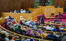 Projet de loi portant dissolution du HCCT et du CESE : l’Assemblée pose le dernier acte