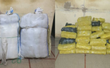 Trafic de drogue : L'OCRTIS neutralise une mafia sénégalo-gambienne, avec la saisie de 1 156 pilules d'ecstasy et 132 kg de yamba