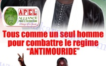 Révélations sur les solides soutiens à Serigne Assane Mbacké pour combattre le pouvoir