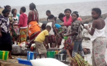 Sans eau potable, malades et enclavées                  Des populations du Boundou boivent l'eau du fleuve avec des ...animaux