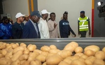 Swami Agri : De Macky à Diomaye, la soumission à l’agro-business étranger continue.